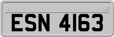 ESN4163