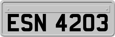 ESN4203