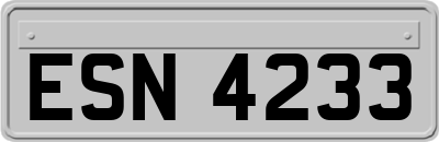 ESN4233