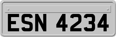 ESN4234