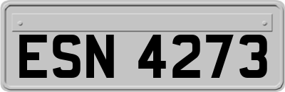 ESN4273