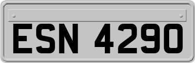 ESN4290