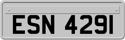 ESN4291