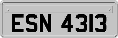 ESN4313