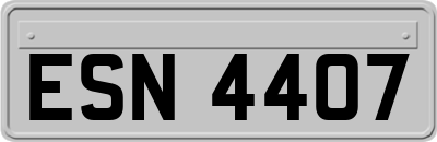 ESN4407