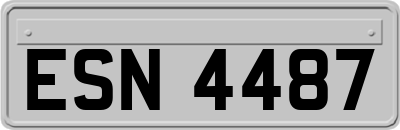 ESN4487