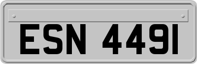 ESN4491