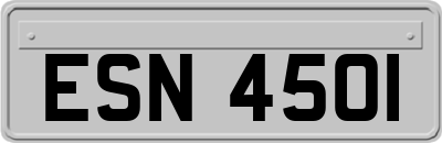 ESN4501
