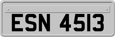 ESN4513