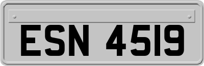 ESN4519