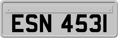 ESN4531