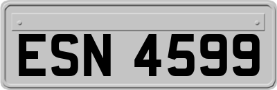 ESN4599