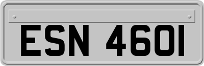ESN4601
