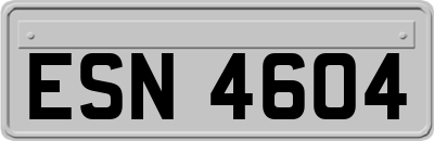 ESN4604