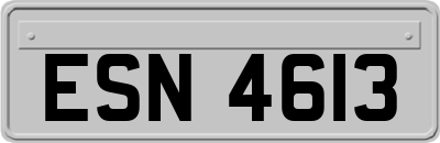 ESN4613
