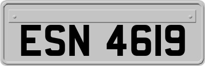 ESN4619