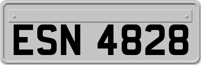 ESN4828