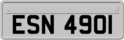 ESN4901