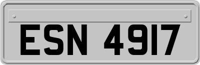 ESN4917