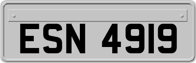 ESN4919