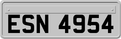 ESN4954
