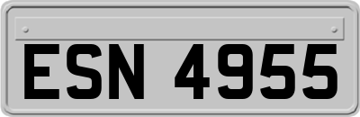ESN4955