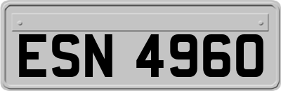 ESN4960
