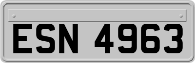 ESN4963