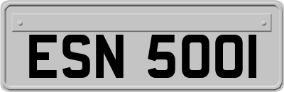 ESN5001
