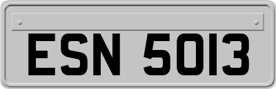 ESN5013