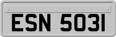 ESN5031