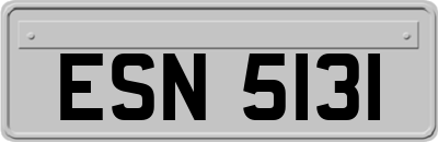 ESN5131