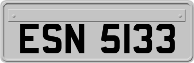 ESN5133