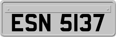 ESN5137