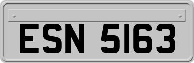 ESN5163
