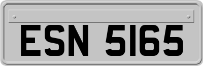 ESN5165