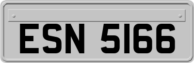 ESN5166