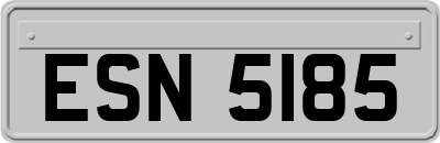 ESN5185