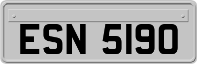 ESN5190