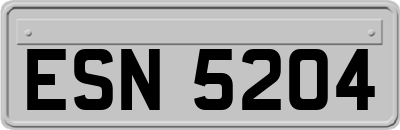 ESN5204