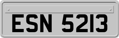 ESN5213