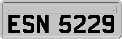 ESN5229