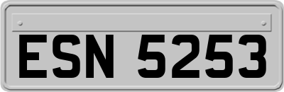 ESN5253