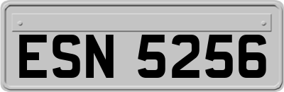 ESN5256