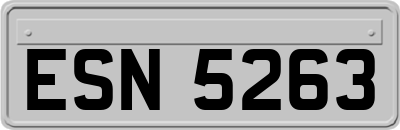 ESN5263