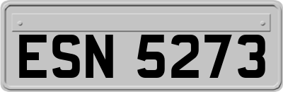 ESN5273