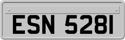 ESN5281