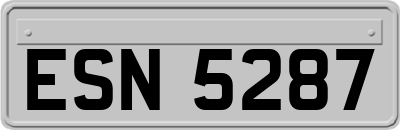 ESN5287