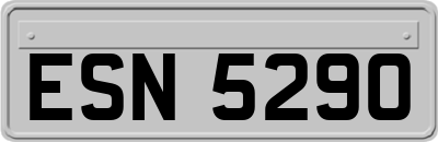 ESN5290
