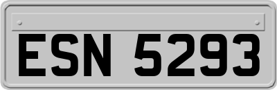 ESN5293